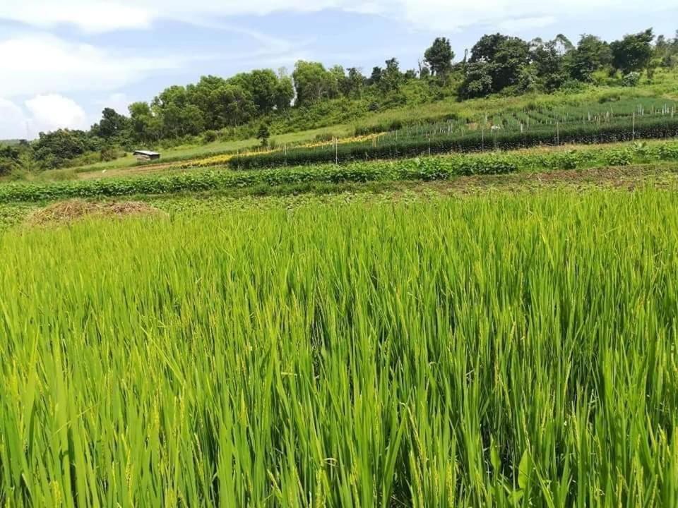 Hotel Shwe Nann Htike 핀우린 외부 사진