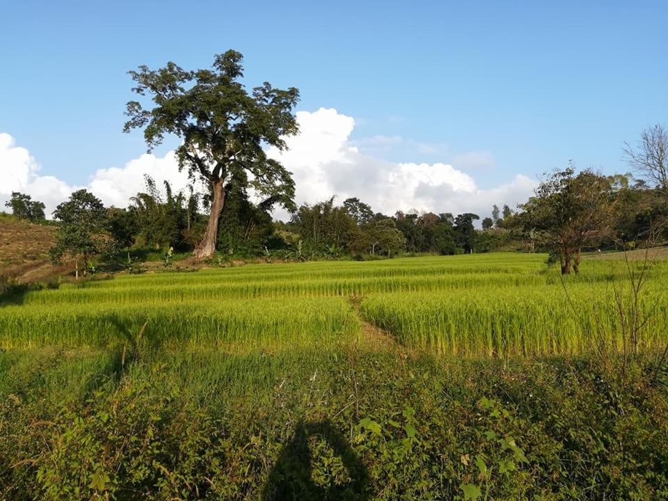 Hotel Shwe Nann Htike 핀우린 외부 사진