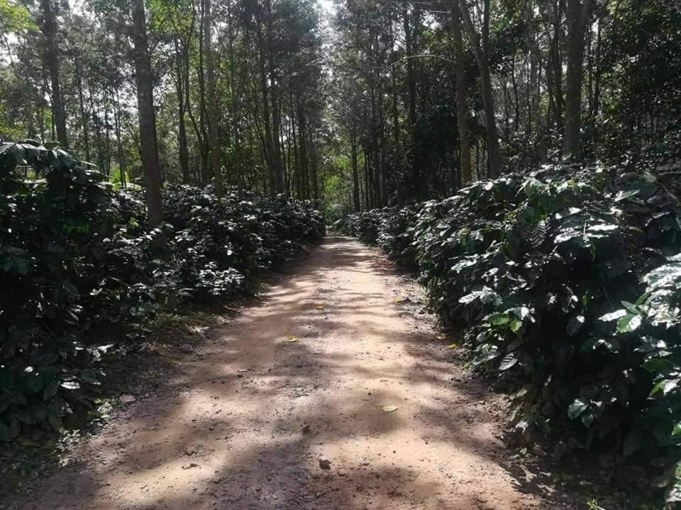 Hotel Shwe Nann Htike 핀우린 외부 사진