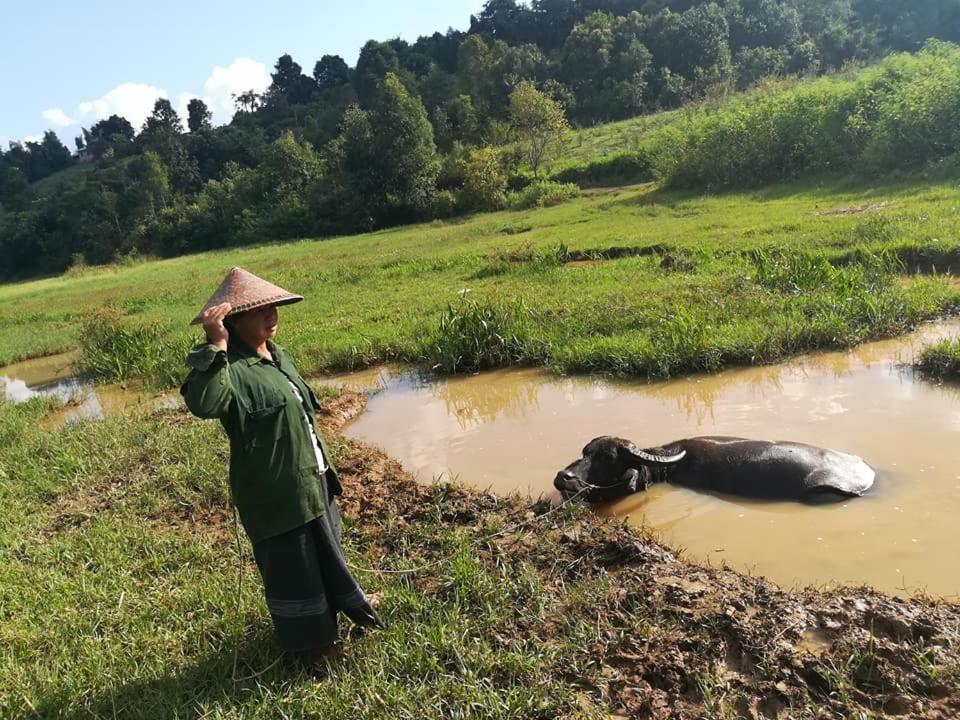 Hotel Shwe Nann Htike 핀우린 외부 사진