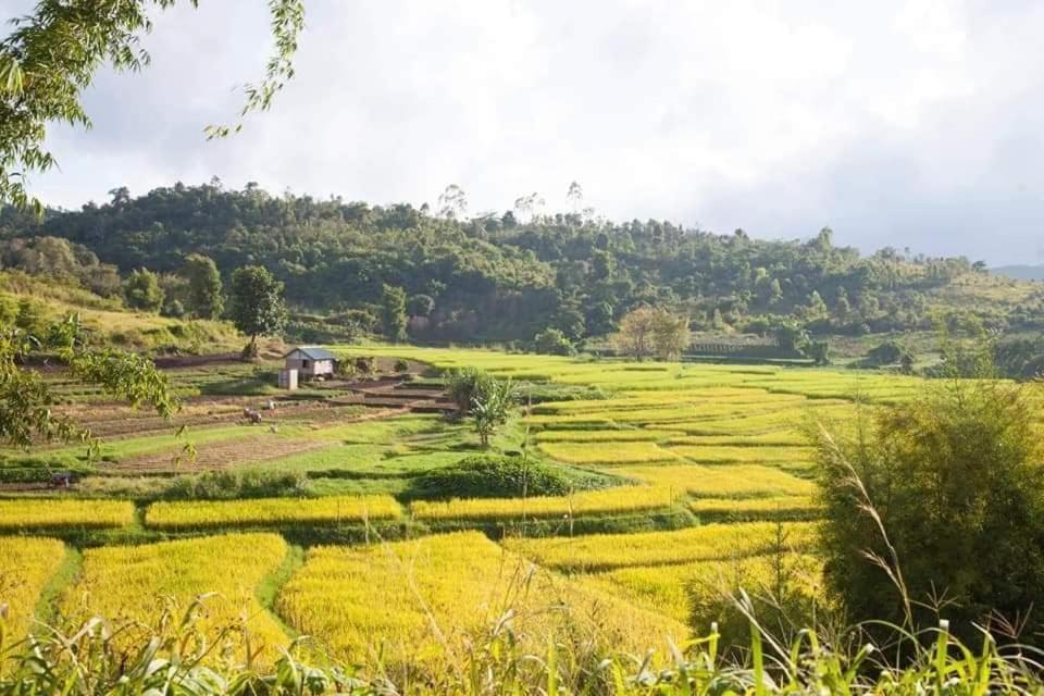 Hotel Shwe Nann Htike 핀우린 외부 사진